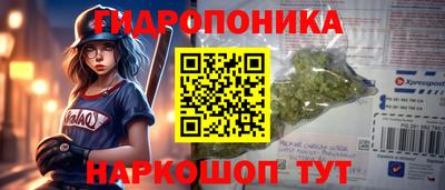 индика Краснодар